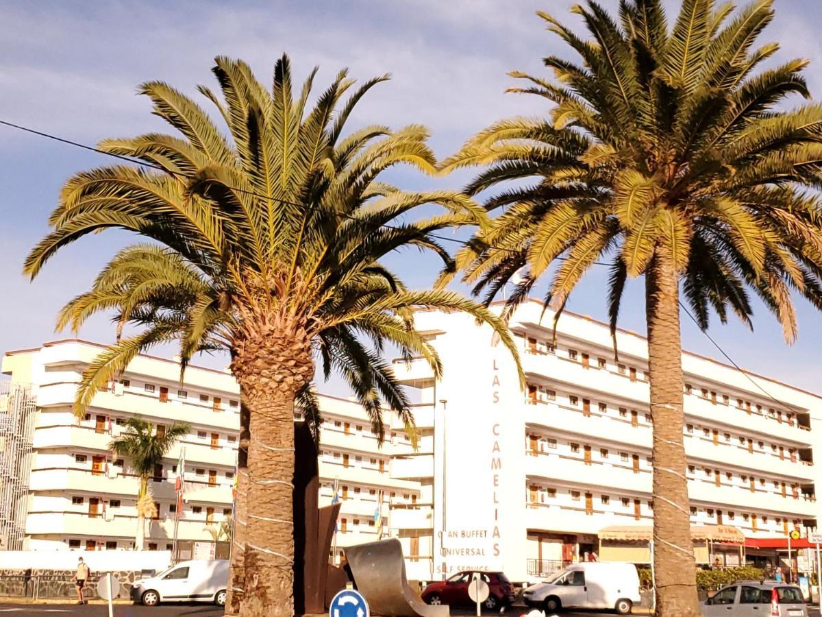 Las Camelias Apartments Ci15 Πλάγια ντελ Ινγκλές Εξωτερικό φωτογραφία